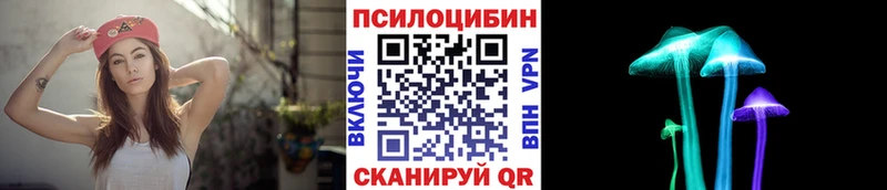 Купить  Тайга  Галлюциногенные грибы Psilocybe 